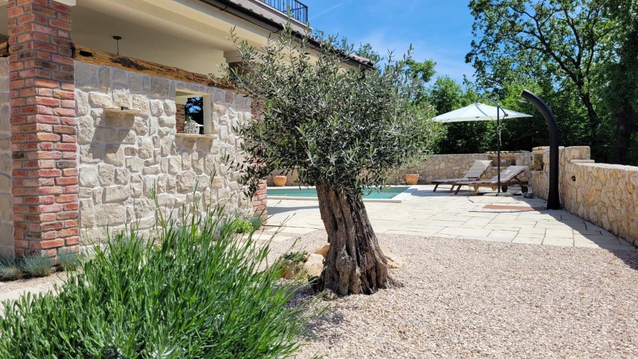 Villa Alara - Charming Villa With Heated Swimming Pool Milohnici Buitenkant foto
